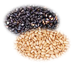 �򖡂̃`�J��