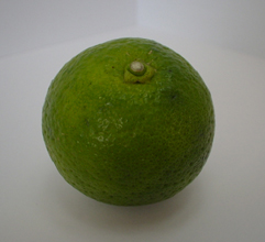 �򖡂̃`�J��