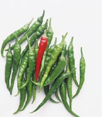 �򖡂̃`�J��